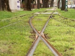 Szeged, villamos, sín, közlekedés, tömegközlekedés, 4-es villamosvonal, felújítás, Koromné Fenyvesi Rózsa, Makrai László, Petőfi Sándor sgt.