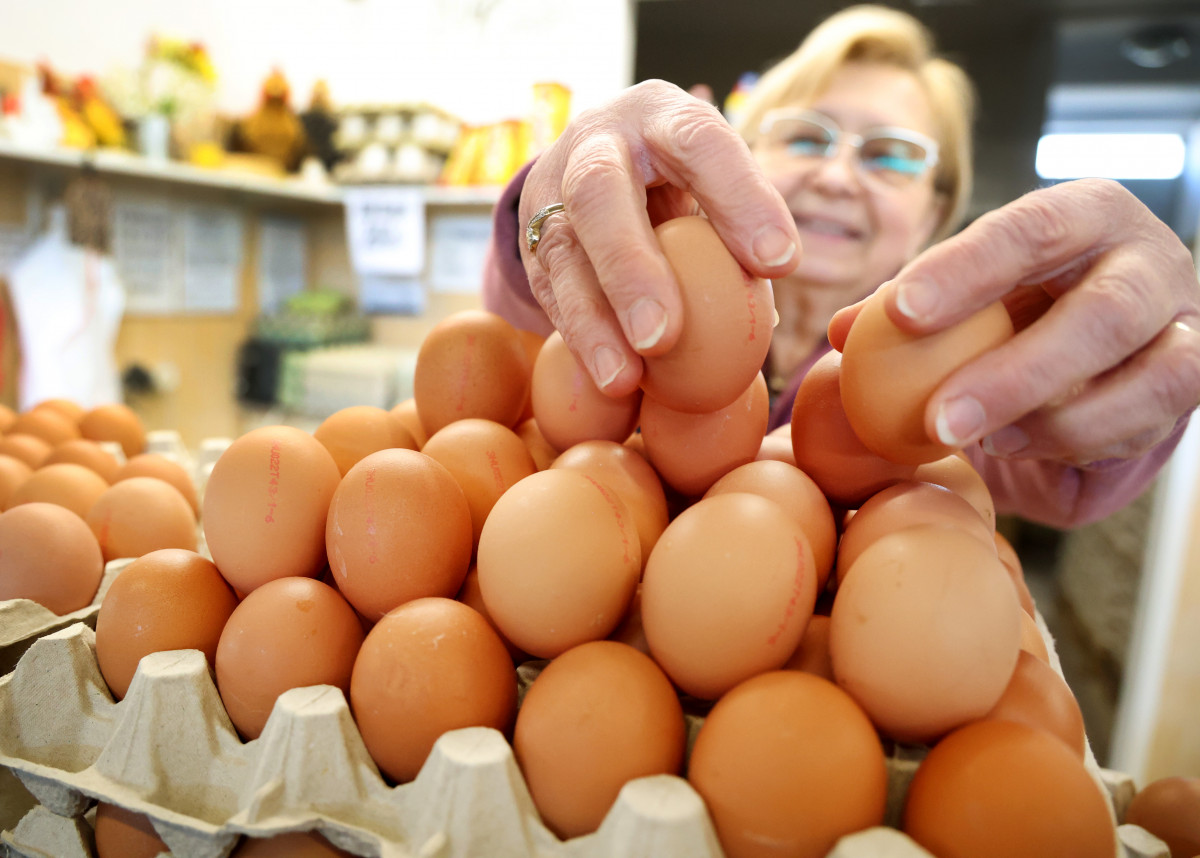 Szeged, tojás, Kotogány, Mars tér, húsvét