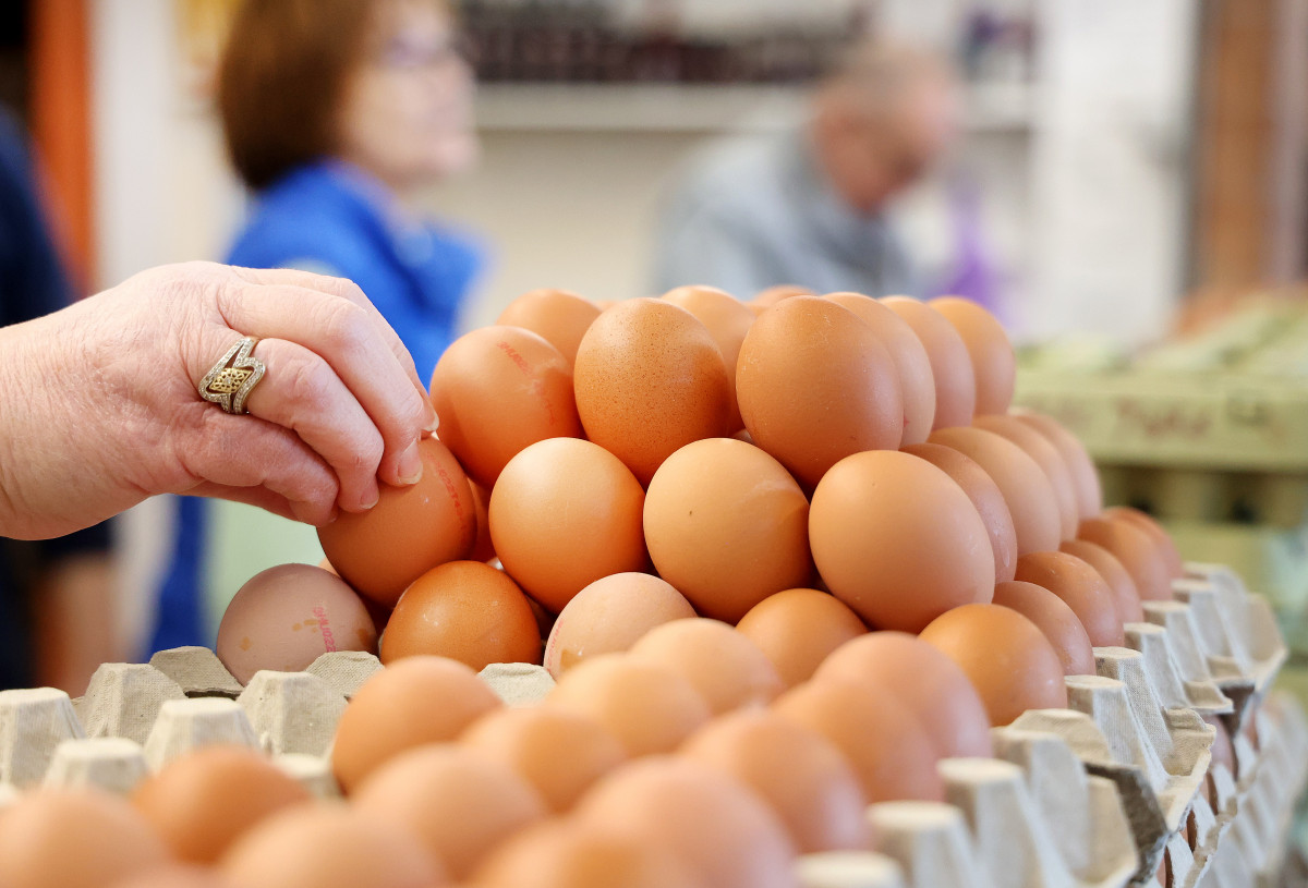 Szeged, tojás, Kotogány, Mars tér, húsvét