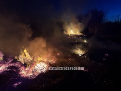 Nádastűz tombolt Kaba és Nádudvar között