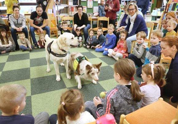 Szeged, terápiás kutya, kutyabemutató, Somogyi könyvtár, tavaszi szünet
