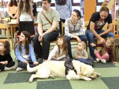 Szeged, terápiás kutya, kutyabemutató, Somogyi könyvtár, tavaszi szünet