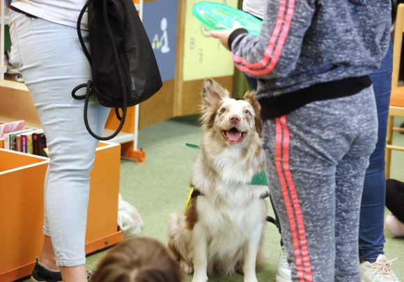 Szeged, terápiás kutya, kutyabemutató, Somogyi könyvtár, tavaszi szünet