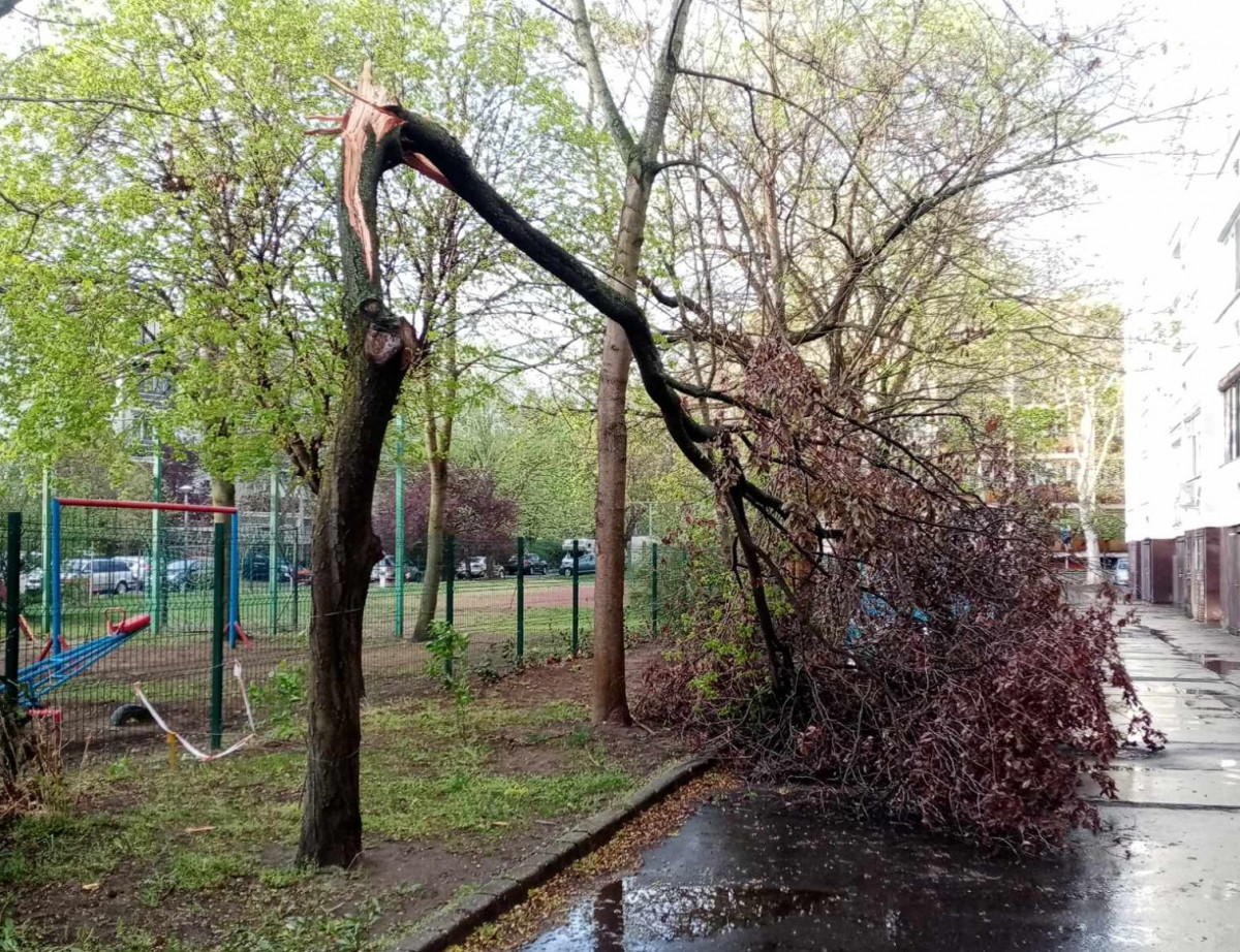 Viharkár Debrecenben