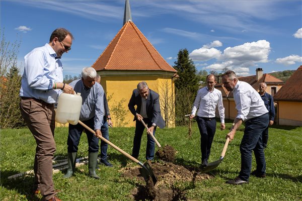 A Kereszténydemokrata Néppárt faültetési akciója Komlón