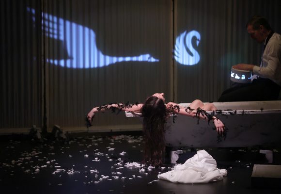 Szeged, Szegedi Kortárs Balett, Fekete hattyú, Kisszínház, kultura, balett, tánc