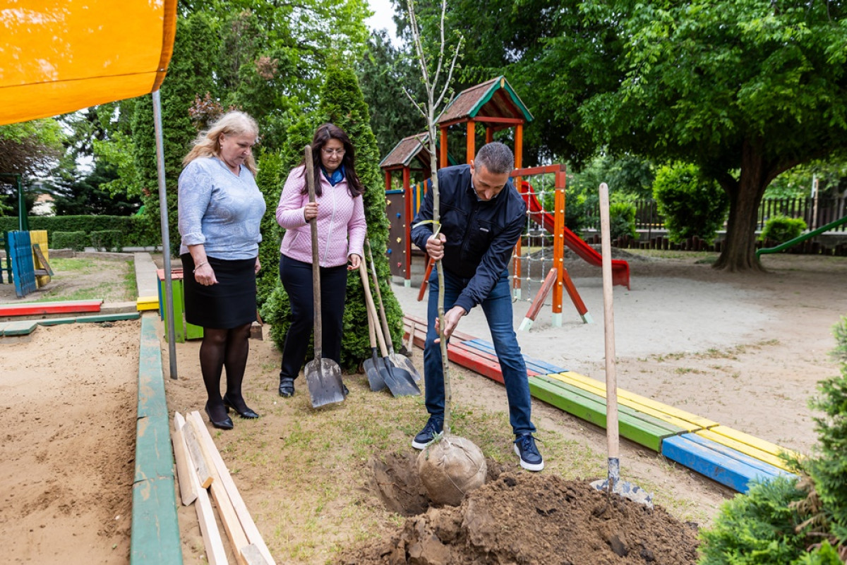 Faültetés Debrecenben