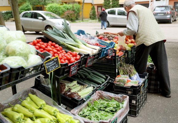 Szeged, Turi Krisztina, zöldség- és gyümölcs kereskedés, vállalkozó, gazdaság, Molnár utca