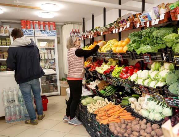 Szeged, Turi Krisztina, zöldség- és gyümölcs kereskedés, vállalkozó, gazdaság, Molnár utca