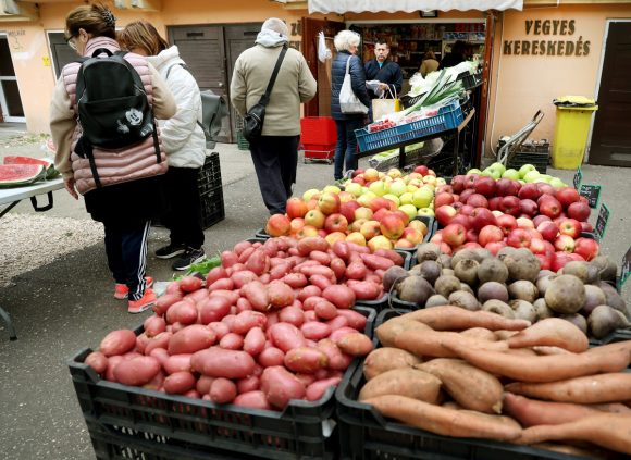 Szeged, Turi Krisztina, zöldség- és gyümölcs kereskedés, vállalkozó, gazdaság, Molnár utca