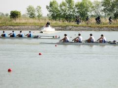 Szeged, Evezős EB, regatta, Maty-ér, evezés, sport, bajnokság