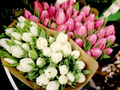 Szeged, Anyák napja, virágcsokor, virág, virágüzlet, Szanka Mária