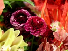 Szeged, Anyák napja, virágcsokor, virág, virágüzlet, Szanka Mária