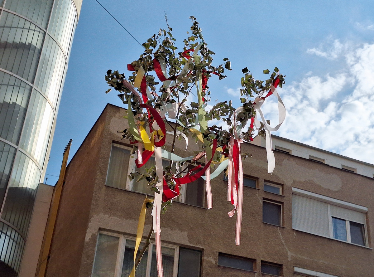 Szeged, májusfa, belváros, május, majális, tavasz