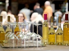 Szeged, megnyitó, Borfesztivál, Széchenyi tér, bor, turizmus, szórakozás