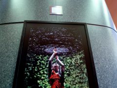 Szeged, 30 év, 30 kép, Kisszínház, Szegedi Kortárs Balett, kiállítás, fotókiállítás, balett, tánc, kultura