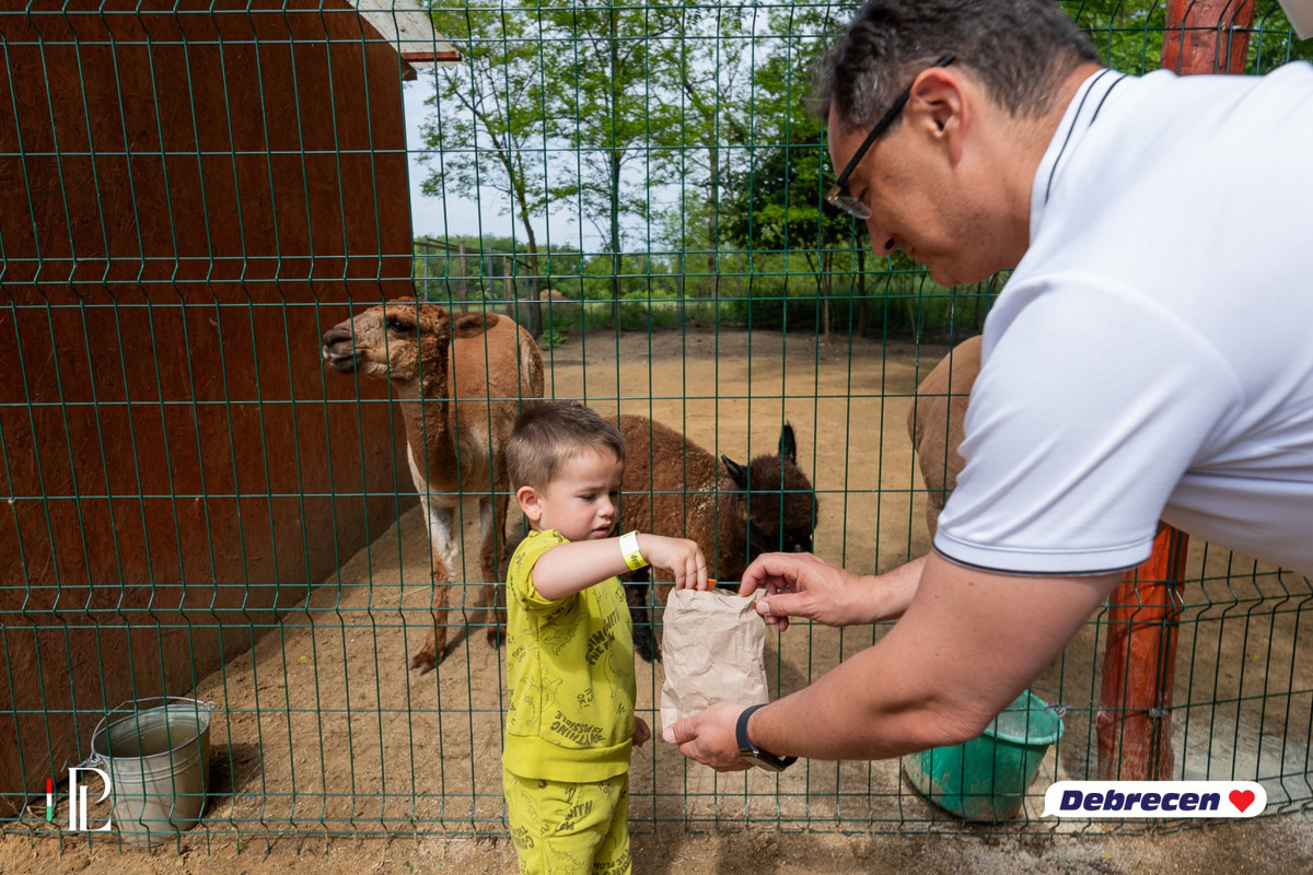 Papp László gyerekekkel kampányol