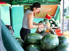 Szeged, dinnye, Mars téri piac, piac