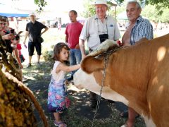 Szeged, Tápéi Tarhonya Fesztivál, Falunap, Piac tér, Tápé, tarhonya, bogrács, főzés, hagyomány