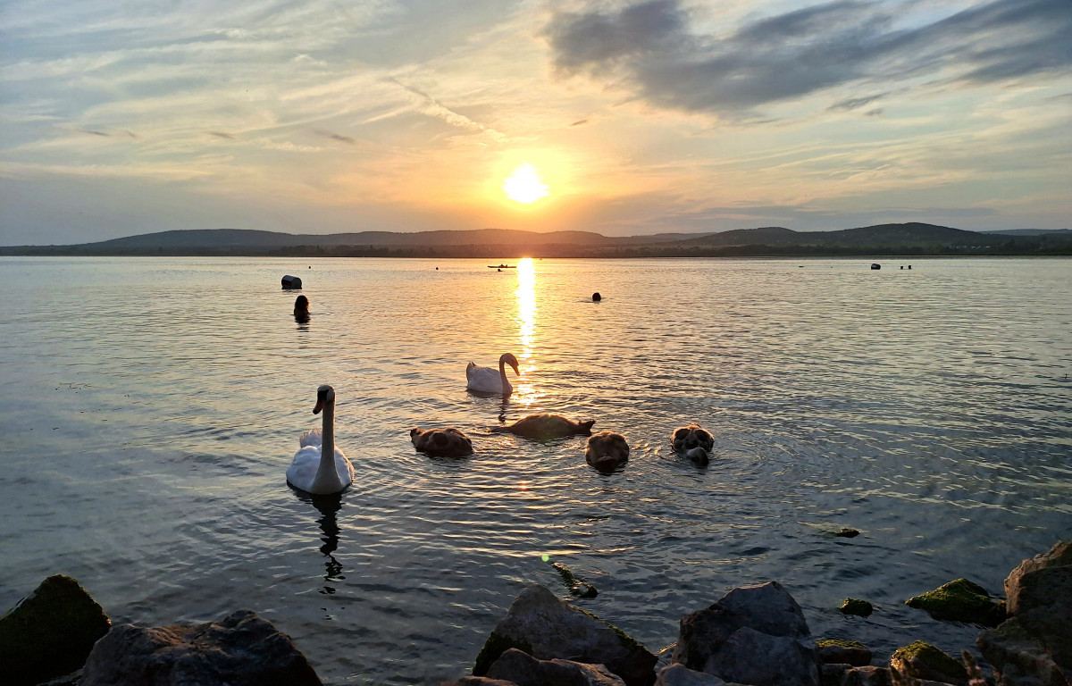 Balaton, Sajkodi strand, nyár, nyaralás, strand, kenu, naplemente, hattyú, turizmus