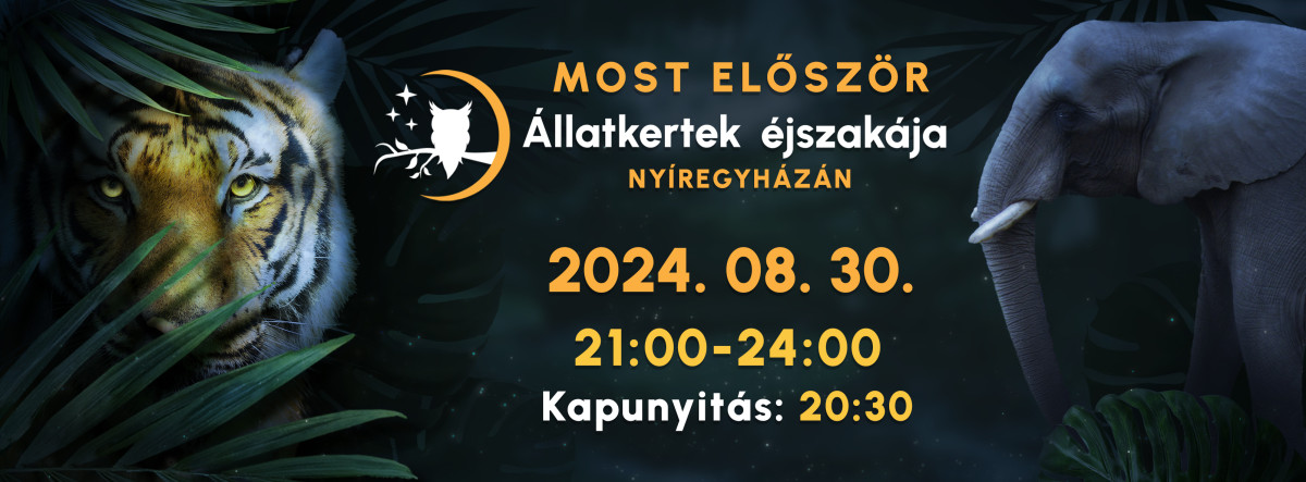 Állatkertek éjszakája Nyíregyházán