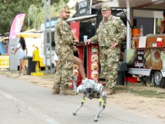 Szeged, Szegedi Ifjúsági Napok, SZIN, fesztivál, koncert, buli, fiatalok