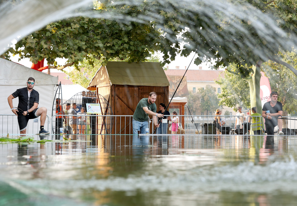 Szeged, Szegedi Ifjúsági Napok, SZIN, fesztivál, koncert, buli, fiatalok