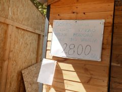 Szeged, Szegedi Ifjúsági Napok, SZIN, ital árak, étel árak, fesztivál