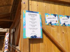 Szeged, Szegedi Ifjúsági Napok, SZIN, ital árak, étel árak, fesztivál