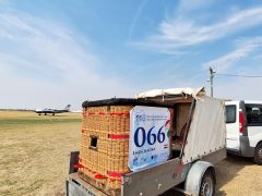 Szeged, 25. FAI Hőlégballon Világbajnokság, regisztráció, repülőtér, sport, hőlégballon