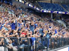Szeged, OTP Bank Pick Szeged, Magdeburg, kézilabda, Bajnokok Ligája, BL, mérkőzés, Pick Aréna, sport