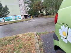 Szeged, graffiti, lakótelep, margaréta, Margaréta utca, panelház, utcaművész, falfestés