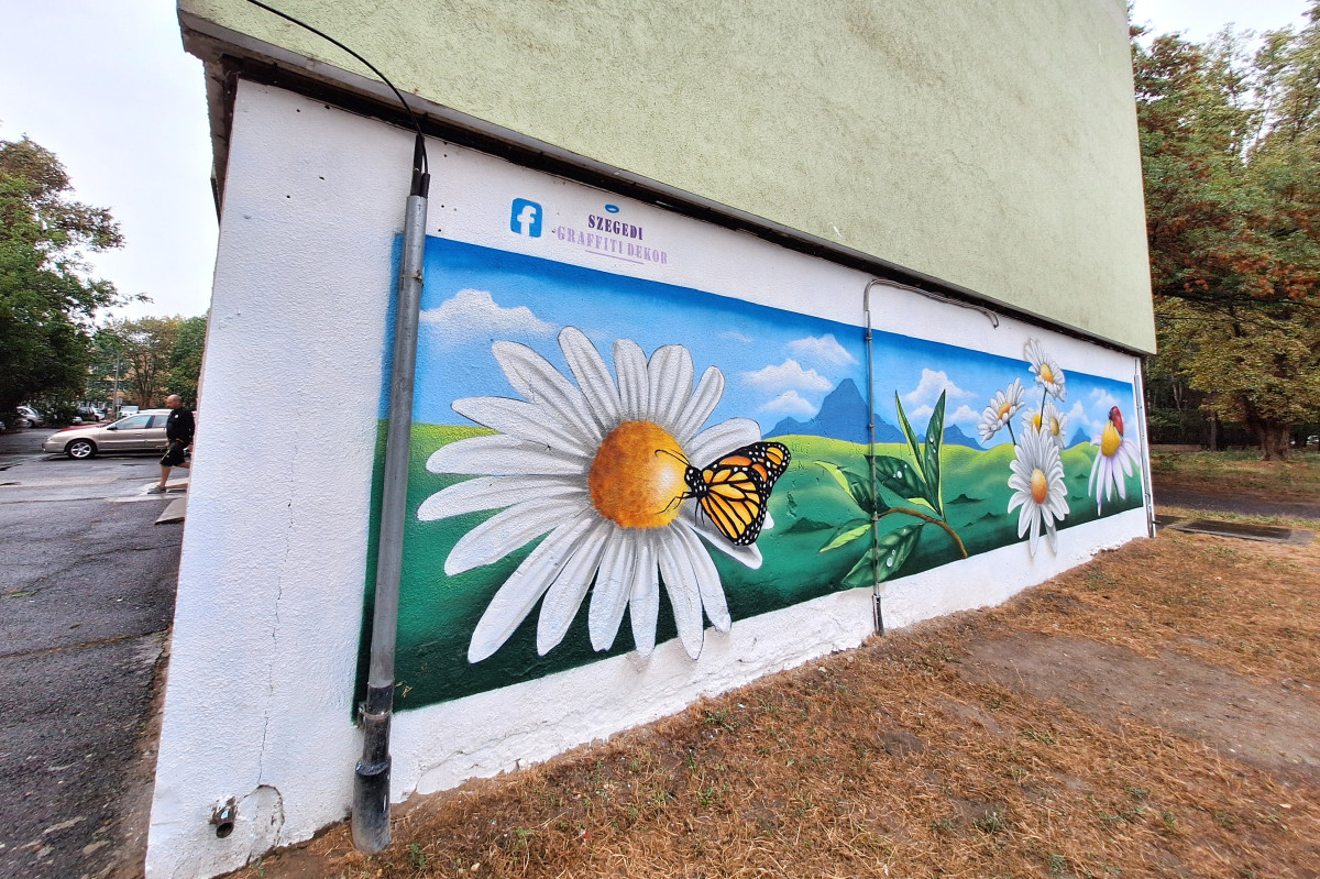 Szeged, graffiti, lakótelep, margaréta, Margaréta utca, panelház, utcaművész, falfestés