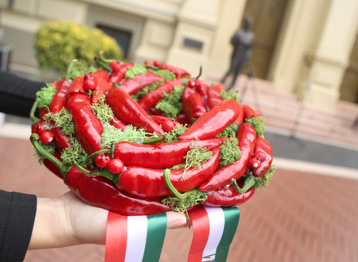 Szeged, Szent-Györgyi Albert, évforduló, megemlékezés, Rektori Hivatal, szobor, koszorúzás, egyetem, SZTE