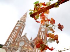 Szeged, bódé, Dóm tér, Bor Tér, bor, fesztivál