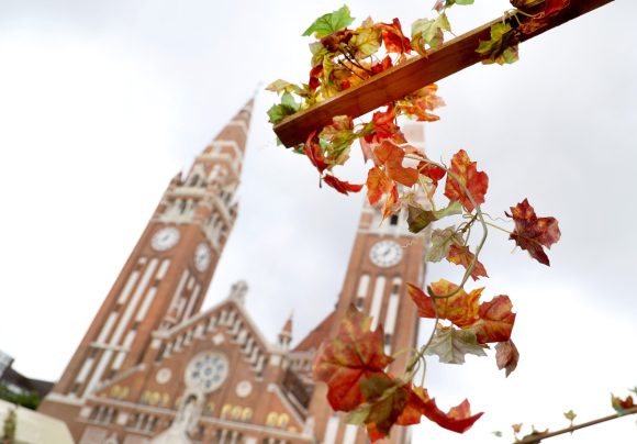 Szeged, bódé, Dóm tér, Bor Tér, bor, fesztivál