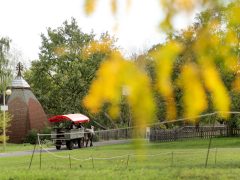 Ópusztaszer, Borszűrő Szent Mihály és Iparosok Napja, Ópusztaszeri Nemzeti Történeti Emlékpark, hagyomány, népművészet, népviselet, néptánc
