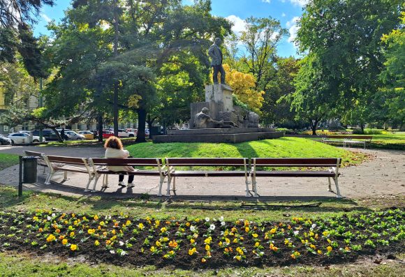 Szeged, őszi virágültetés, Szegedi Környezetgazdálkodási Nonprofit Kft., Széchenyi tér, ültetés, kétnyári virágok, tulipán hagymák, árvácska