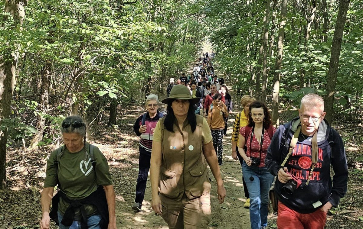 Remek programmal készül a Zsuzsi vasút a Kéktúrázás napja alkalmából