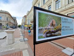 Szeged, 42. Magyar Sajtófotó Kiállítás, sajtófotó, fotó, kiállítás, Klauzál tér