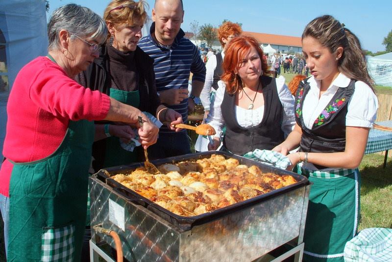 Hadházi lapos káposzta