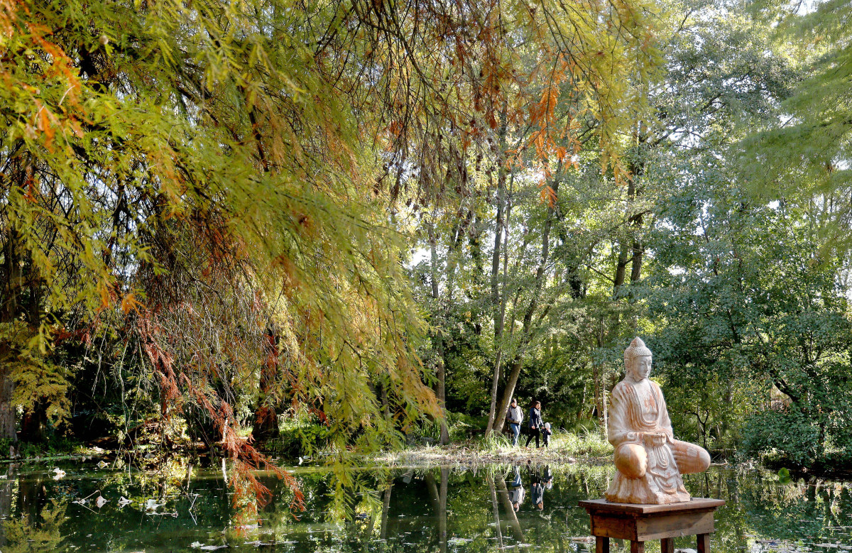 Szeged, Tök Jó Nap, ősz, Füvészkert, természet, időjárás, tök