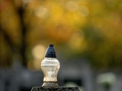 Szeged, temető, Belvárosi temető, Mindenszentek, mécses