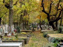 Szeged, temető, Belvárosi temető, Mindenszentek, mécses