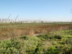 Szeged, BYD, gyár, beruházás, ipar, autóipar, gazdaság, építkezés, csarnok, acélszerkezet