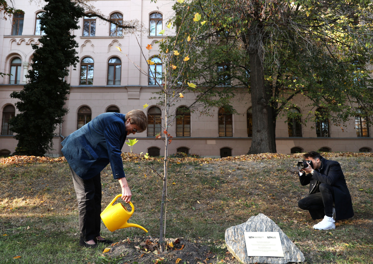 Szeged, SZTE, Alma Mater, Karikó Katalin, faültetés, emléktábla, Göncz Árpád sétány, egyetem