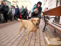 Szeged, Ételt az Életért Alapítvány, ételosztás, élelmiszercsomag, rászoruló, szegény, szegénység, Anna kút