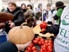Szeged, Ételt az Életért Alapítvány, ételosztás, élelmiszercsomag, rászoruló, szegény, szegénység, Anna kút