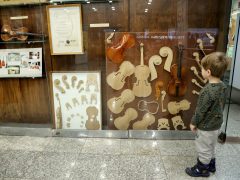 Szeged, A szegedi hangszergyártás története, kiállítás, hangszer, hangszergyártás, Somogyi könyvtár, kamara, Móra Ferenc Múzeum