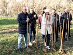 Szeged, Provident Pénzügyi Zrt., felajánlás, faültetés, Erzsébet liget